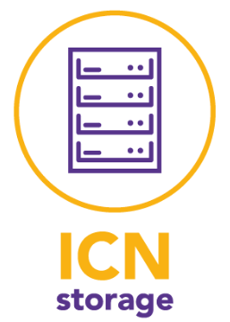 ICN Storage: Storing media from interventions