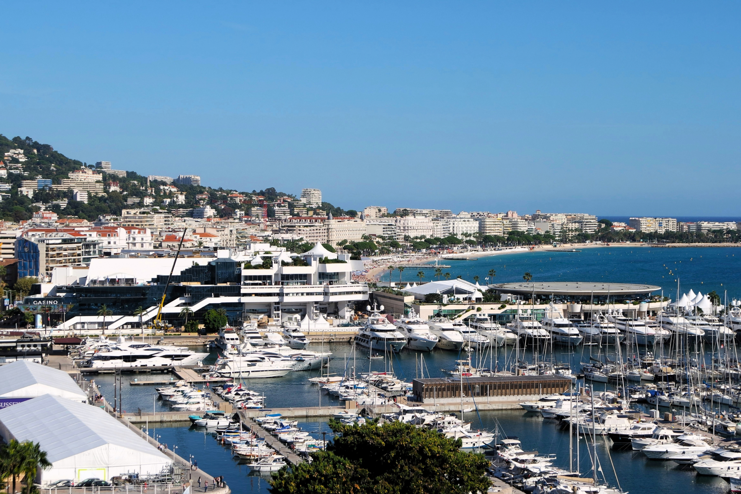 Surgiris participant au congrès annuel de la Société Officielle Française de Chirurgie Orthopédique et Traumatologique à Cannes 2026, du 11 au 13 novembre.